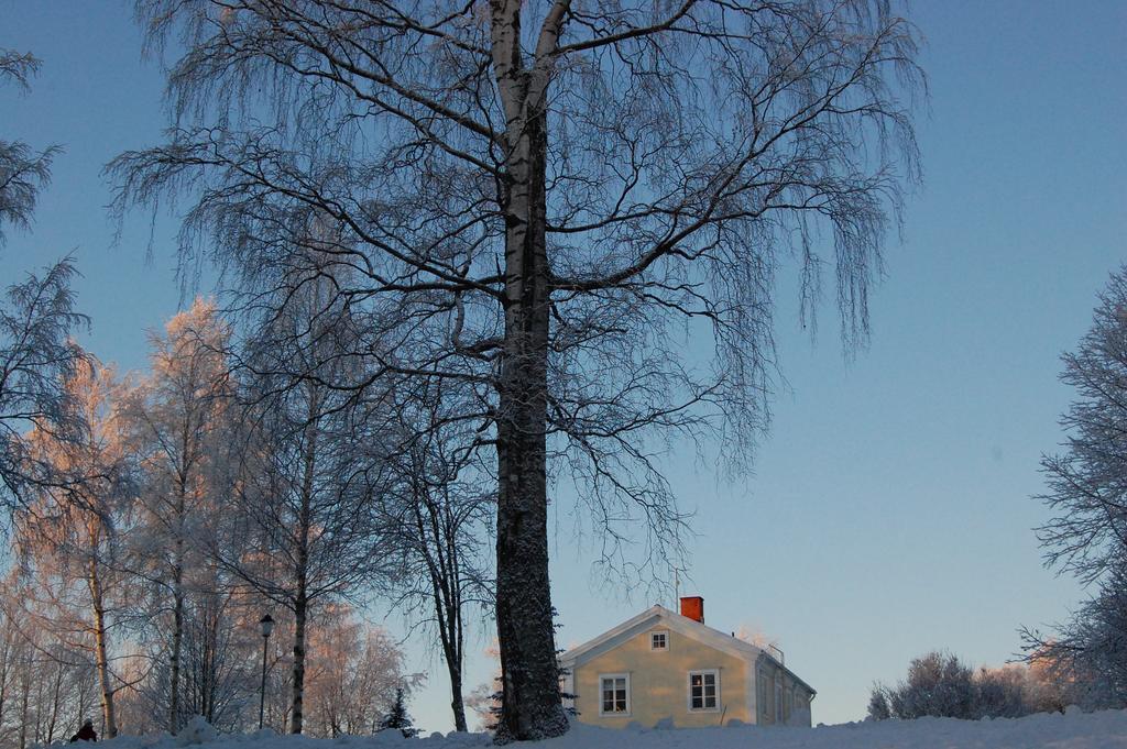Brunnsgarden Bed & Breakfast Skellefteå エクステリア 写真
