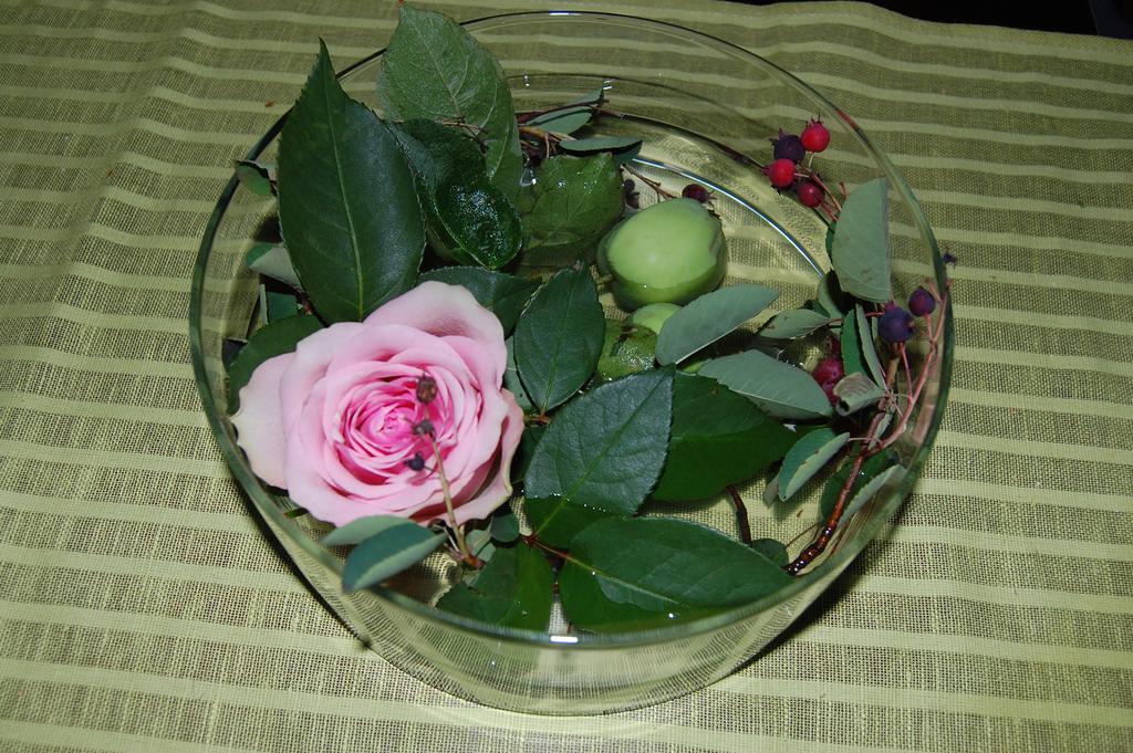Brunnsgarden Bed & Breakfast Skellefteå エクステリア 写真