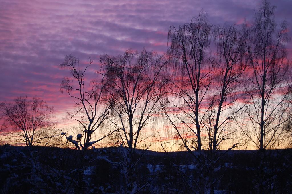 Brunnsgarden Bed & Breakfast Skellefteå エクステリア 写真
