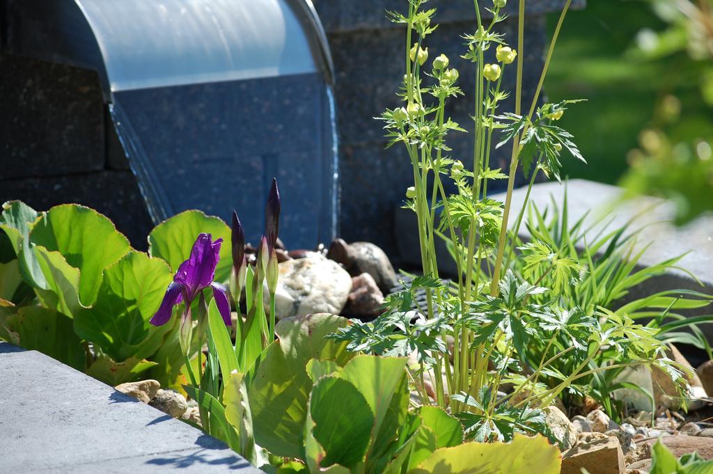 Brunnsgarden Bed & Breakfast Skellefteå エクステリア 写真